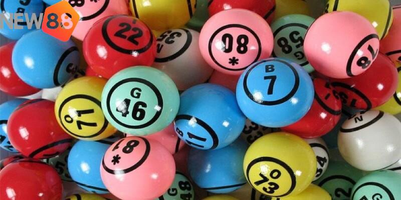 Phương pháp nuôi bạch thủ lô khung 5 ngày hiệu quả