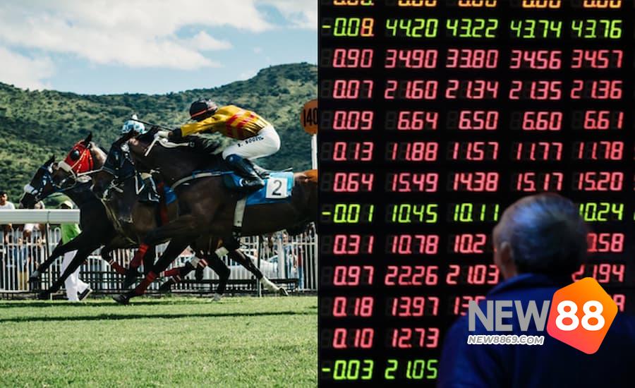 Vào sảnh chơi và chọn trận đua ngựa 