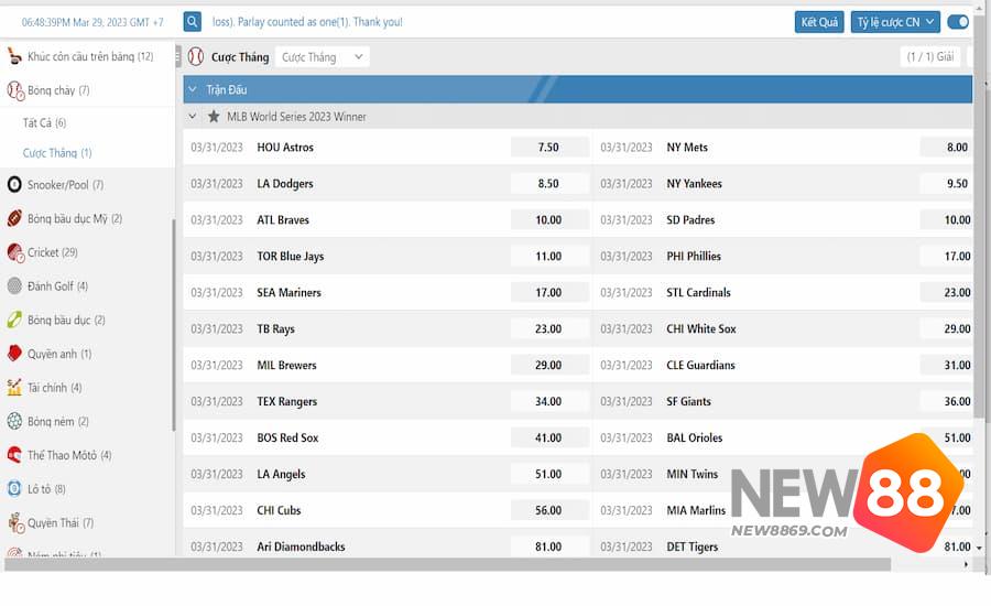 Cược đội chiến thắng