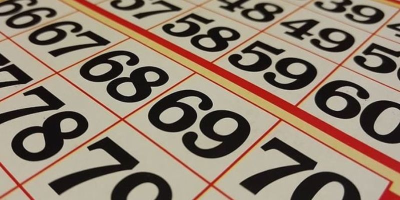 Ngủ mơ thấy con kép 66 về đánh con gì?