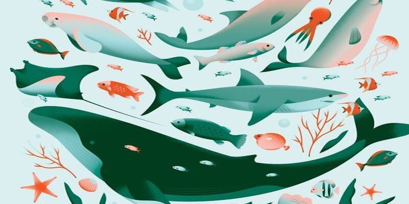 Mơ bắt cá thì đánh số gì?