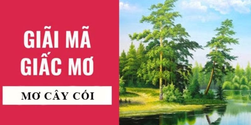 Điềm báo cho giấc mơ thấy cây - bật mí ý nghĩa đằng sau đó 2 Giấc mơ thấy cây xanh tươi mang ý nghĩa gì?