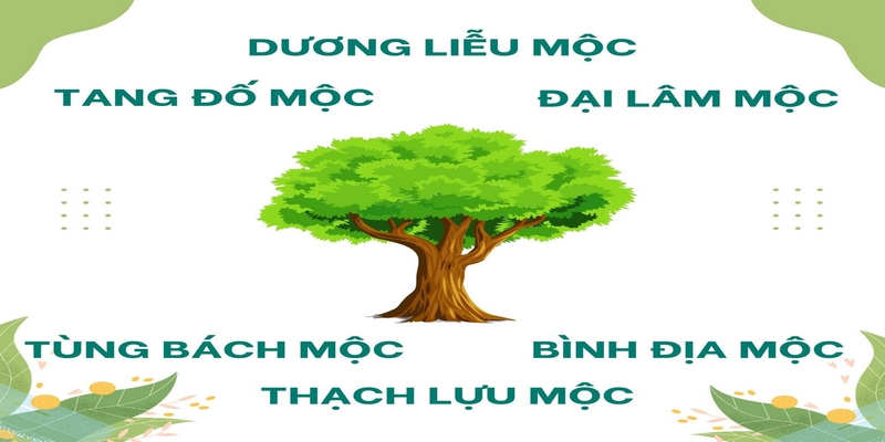 Mệnh mộc năm nào? Sáu nạp âm cụ thể