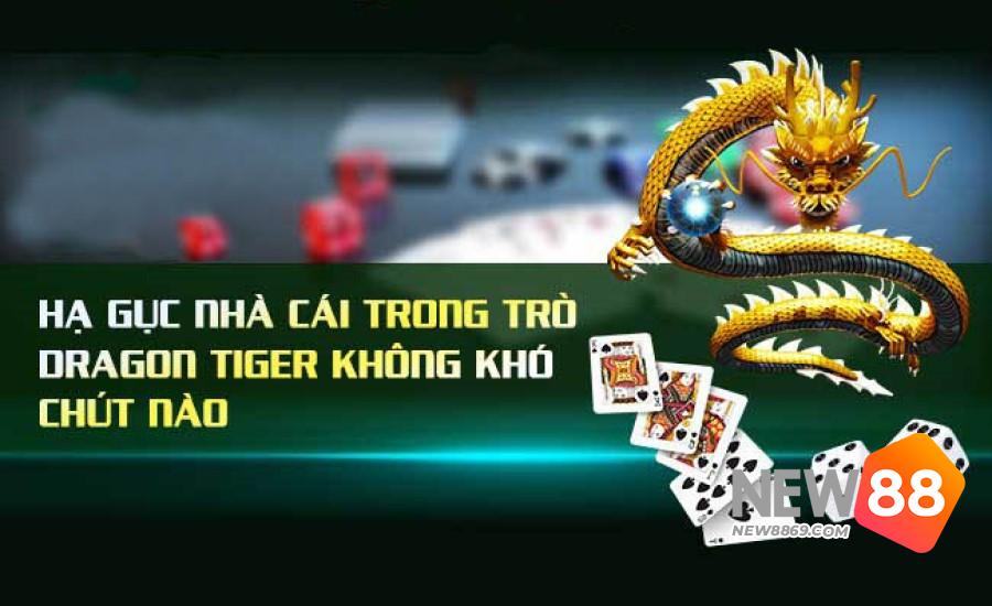 Lưu ý khi chơi rồng hổ 