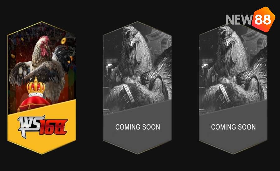 Kèo cược đá gà Campuchia đa dạng