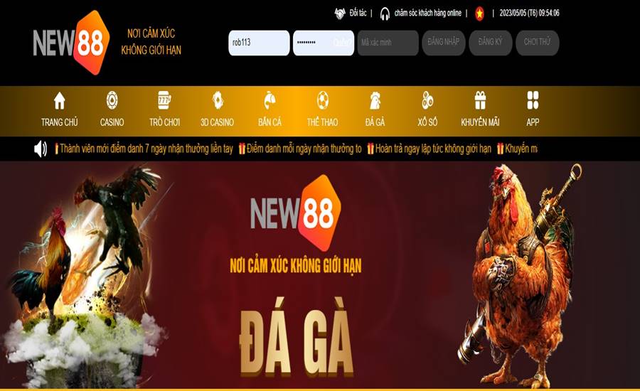 Đá Gà Mộc Bài - Cách Chăm Sóc, Huấn Luyện Gà Chiến Cực Đỉnh 4 Môi trường đá gà chuyên nghiệp, tỷ lệ trả thưởng siêu cao