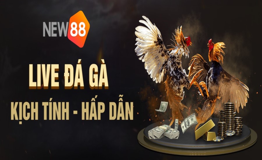 Những cửa cược đá gà Thomo tại New88 