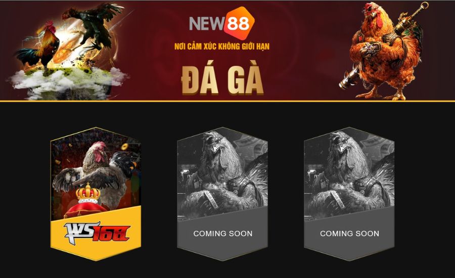 Đá Gà Cựa Dao Và Top 5 Lý Do Bạn Nên Chơi Đá Gà Tại New88 3 2 giống gà hiệu quả đá gà tại nhà cái