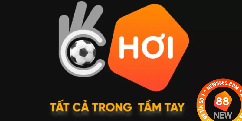 Okchoi - Trang tin thể thao uy tín chính xác nhất hiện nay