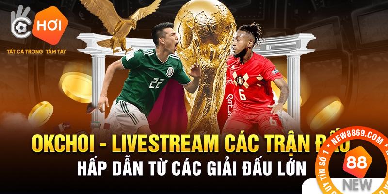 Okchoi hỗ trợ người dùng tối đa